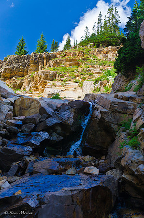 Albion Basin Hike-August 2011-92