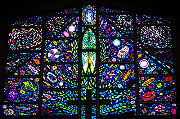 St. Ambrose Windows-25