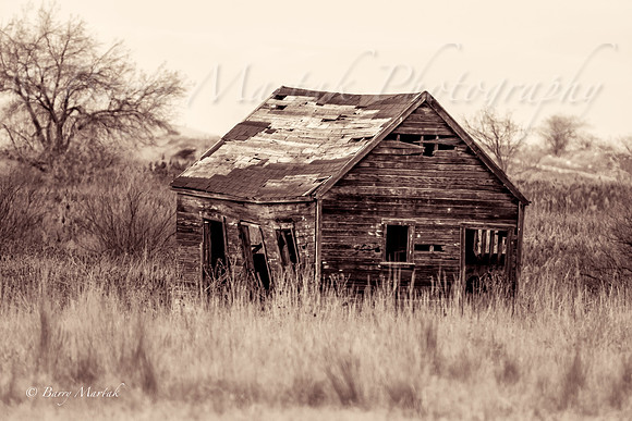 Old Cabin in Farmington-1