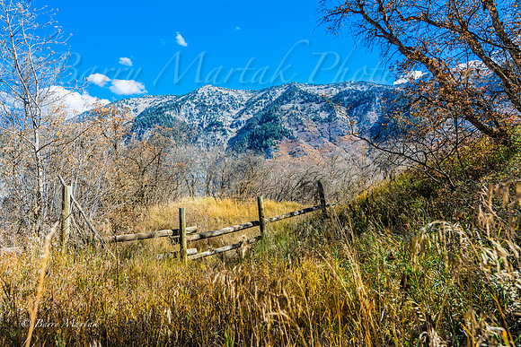 Old Wood Fences-2