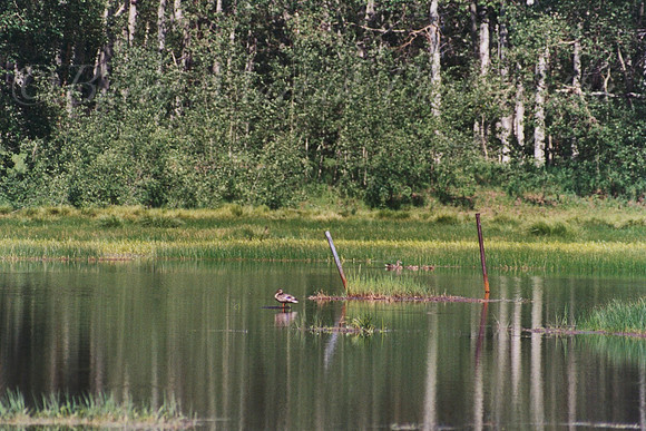 Midway Lake, Utah
