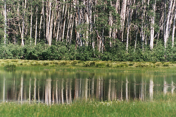 Midway Lake, Utah