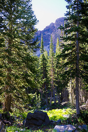 Albion Basin Hike-August 2011-43