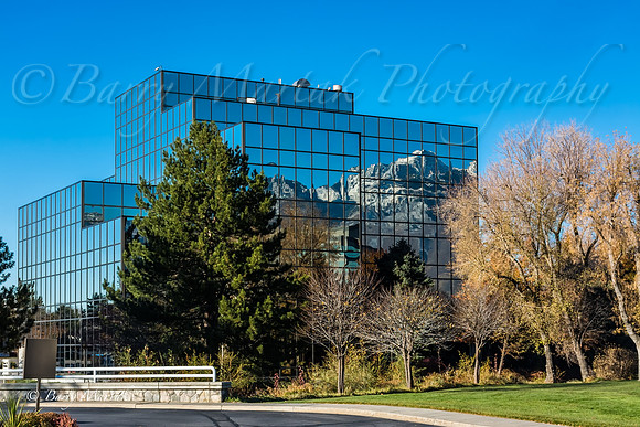 Union Park Reflections-6