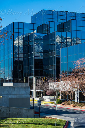 Union Park Reflections-1