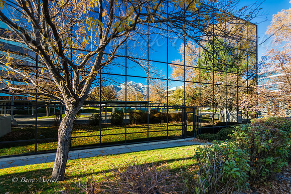 Union Park Reflections-5