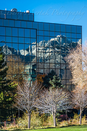 Union Park Reflections-7