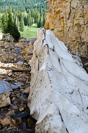 Albion Basin Hike-August 2011-117