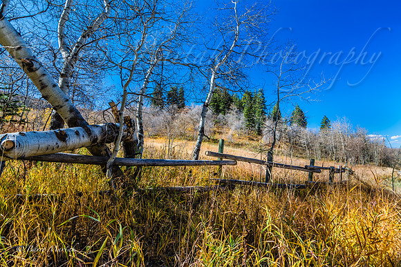 Old Wood Fences-3