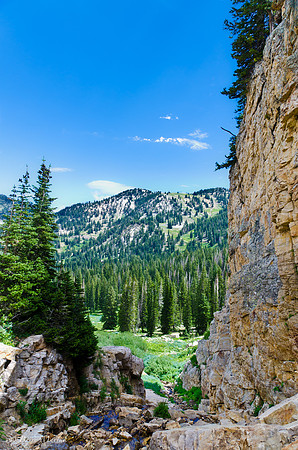 Albion Basin Hike-August 2011-1-2