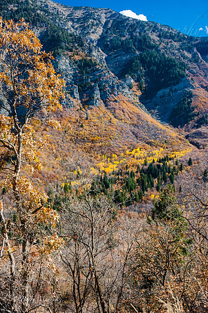 Rock Canyon Fall Colors-6