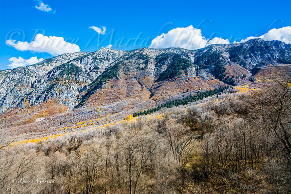 Rock Canyon Fall Colors-9