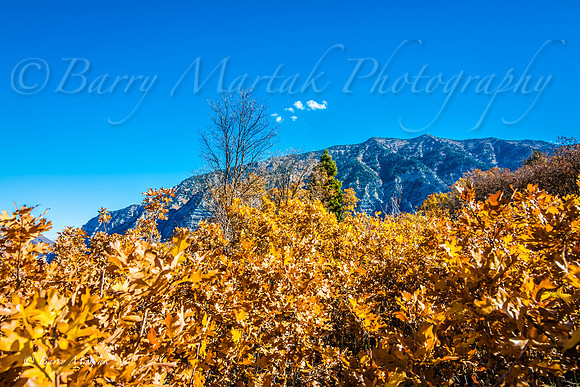 Rock Canyon Fall Colors-1