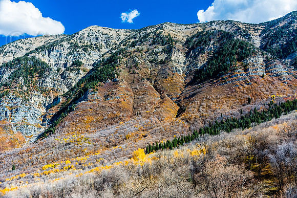 Rock Canyon Fall Colors-8