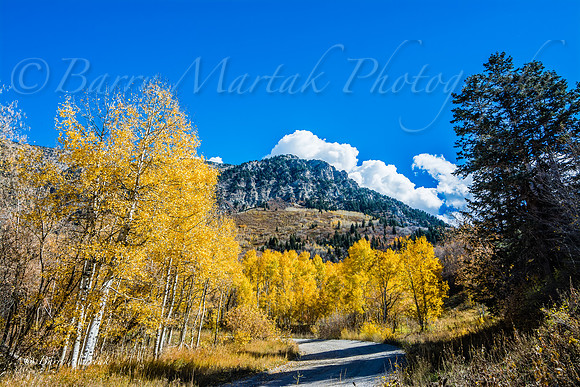 Rock Canyon Fall Colors-10