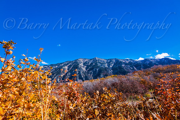 Rock Canyon Fall Colors-5