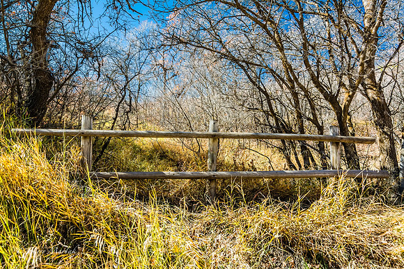 Old Wood Fences-1