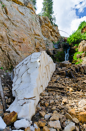 Albion Basin Hike-August 2011-105